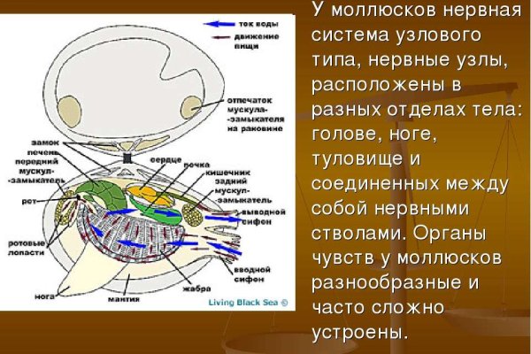 Kra26.gl